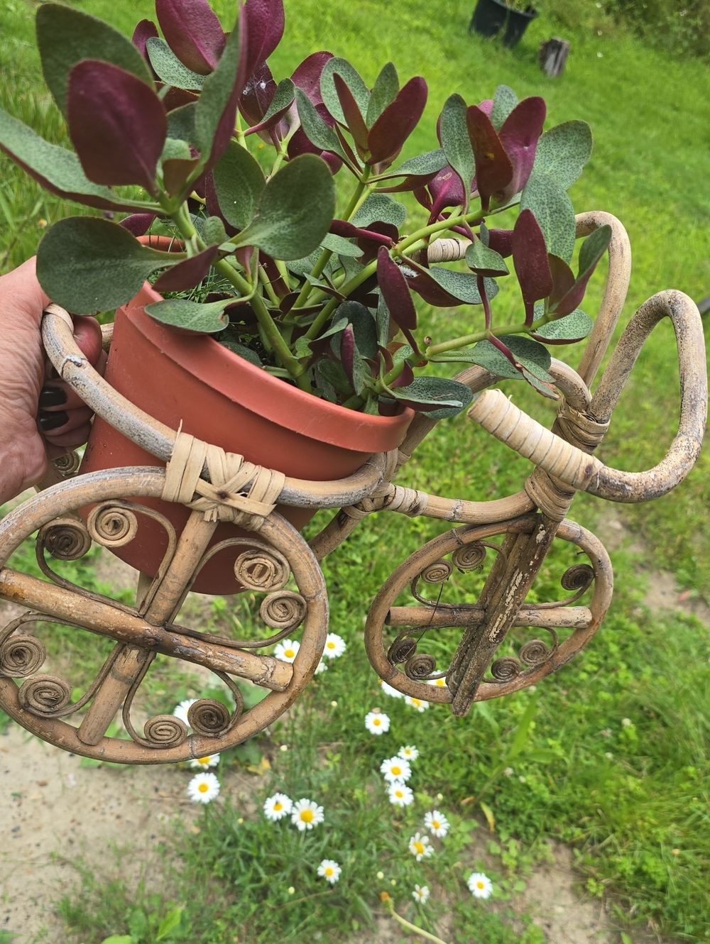 Home Accents Decorative Wicker Bamboo RattanPlant Tricycle Planter Vintage